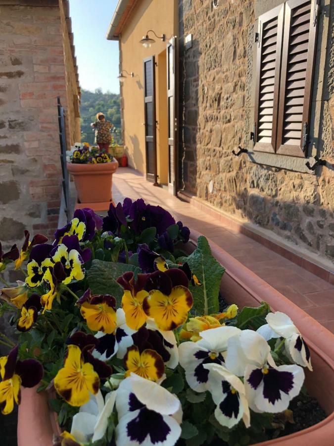 Apartamento Mamma Laura Vagliagli Exterior foto